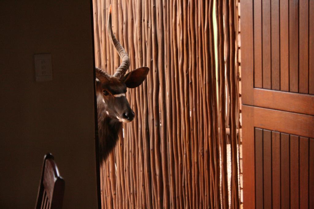 Makhato 84 Bush Lodge Bela-Bela Ngoại thất bức ảnh